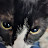 Tim Foust avatar image