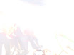 DSC09915.JPG
