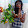 divaldir batista Jamaica divaldir batista Jamaica's profile photo