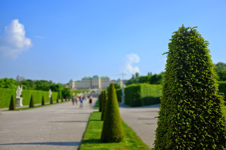Belvedere Garden