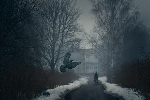 posted image