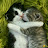 barbara boydon avatar image