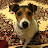 Sean Swanson avatar image