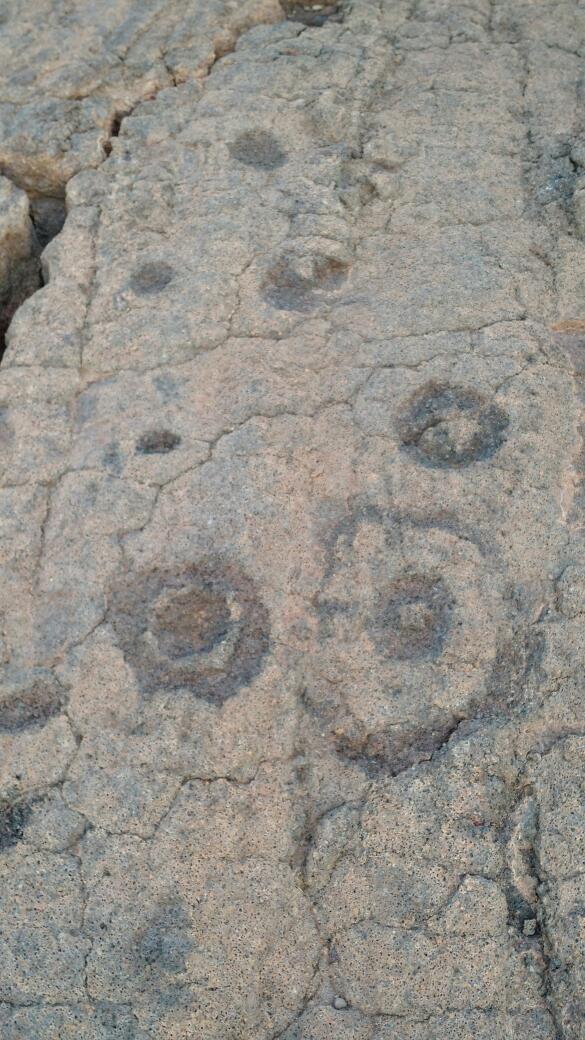 Waikoloa Petroglyph Reserve
