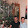 Leilani Freerksen Leilani Freerksen's profile photo