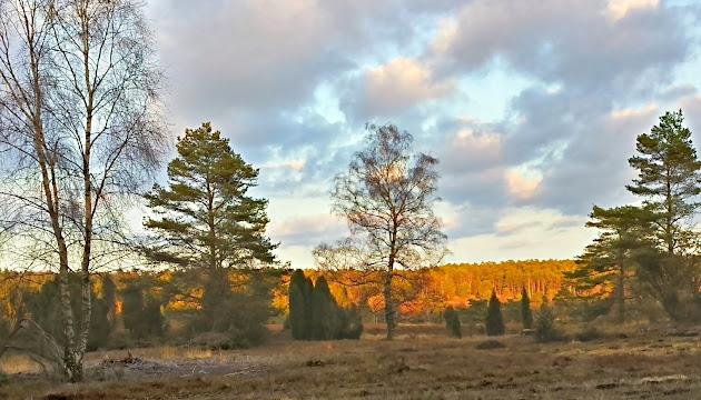 Cover photo