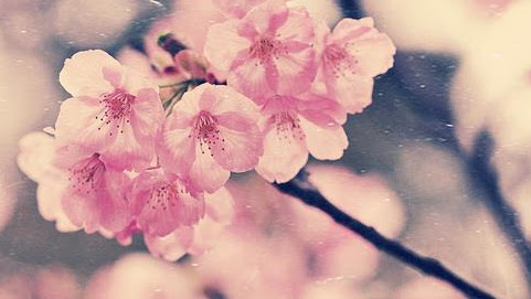 Cover photo