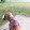 Canaan Francisco Canaan Francisco's profile photo