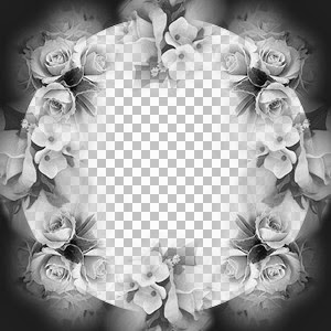 DS-rose.jpg