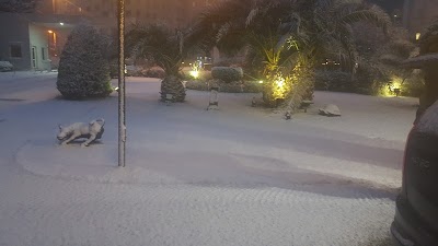 Photos of The Green Park Bostancı