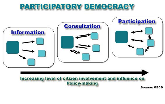 define direct participatory democracy