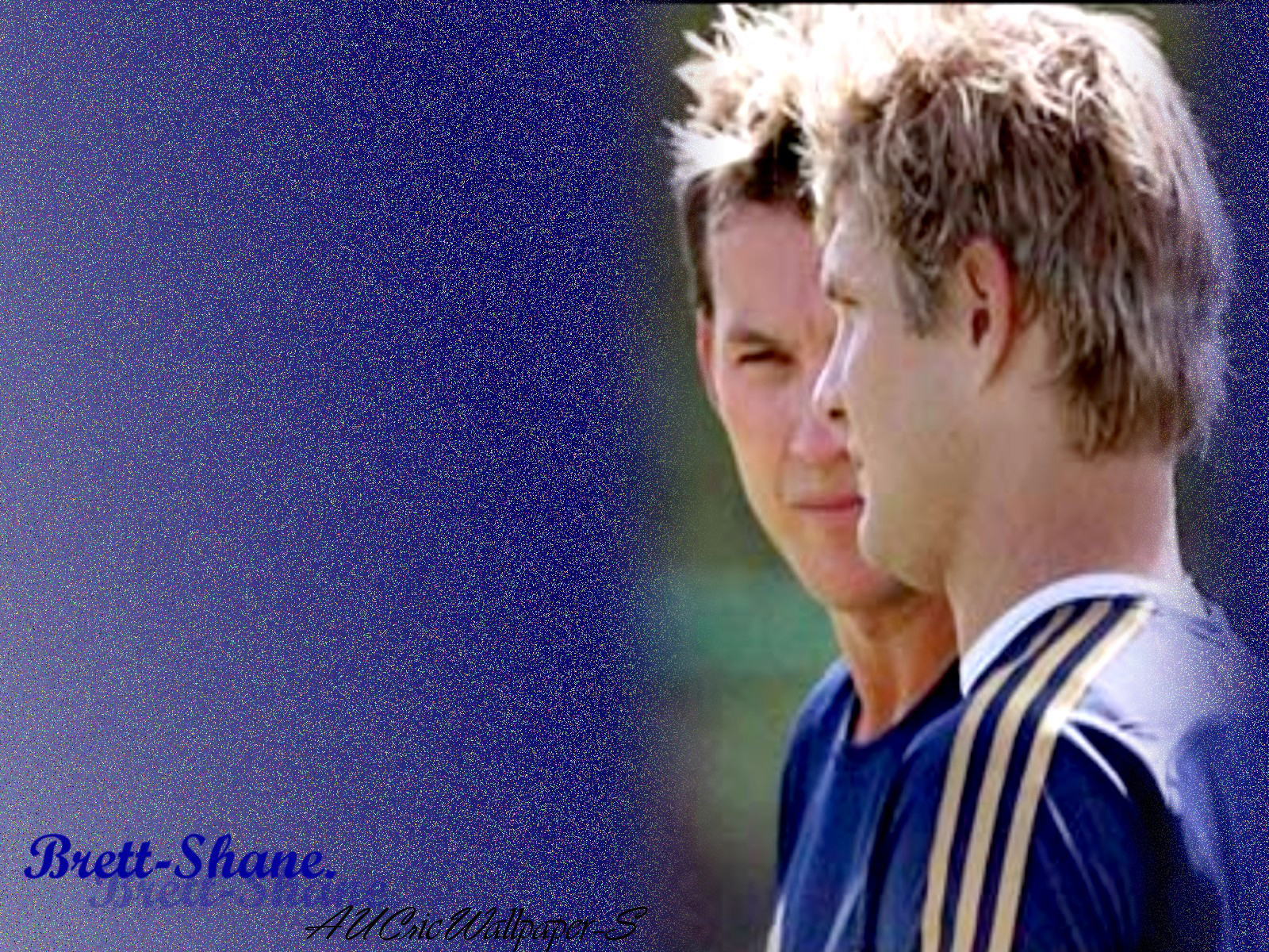 Australian Cricket Team Wallpaper: Brett Lee & Shane Watson Wallpaper 8