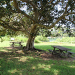 Picnic area behind Strickland House (253721)