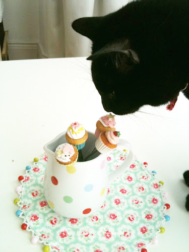 Cat smelling photo