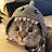 Manny Lake avatar image
