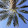 Grant Martin Grant Martin's profile photo
