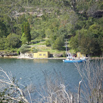 Views over to Bantry Bay Picnic Area (24576)