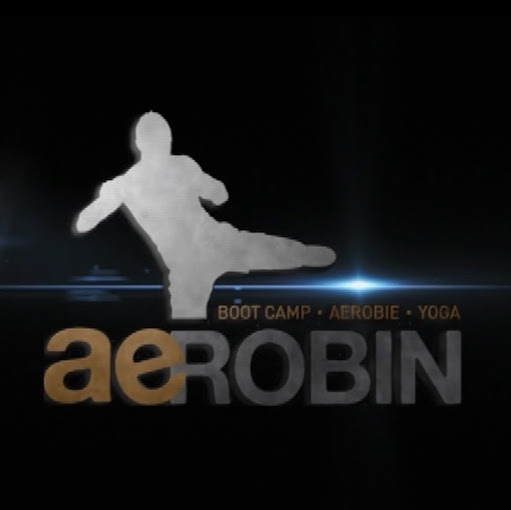 Aerobin logo