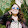 Danielle Capriato Danielle Capriato's profile photo