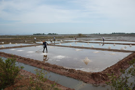 workers at a salt field in Kampot