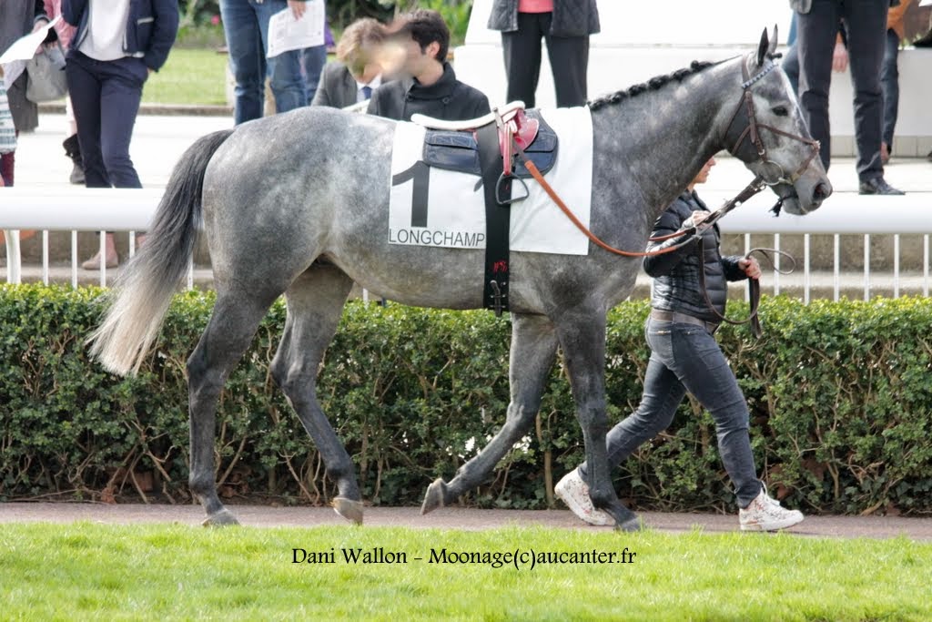 Photos Longchamp 6-04-2015 - Page 2 IMG_7938