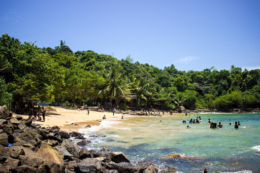 Jungle Beach