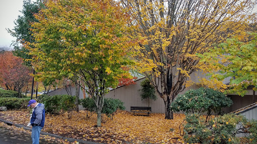 Museum of the Cherokee Indian