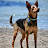 Aida Tulley avatar image