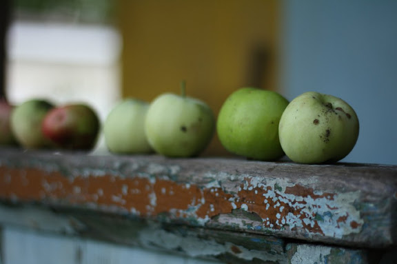 Скоро осень 