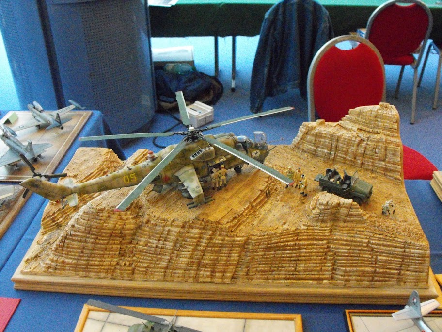 Expo de Hyères (photos) - Page 3 DSCF2279