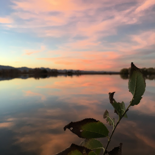 DenverFishing12