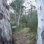 Signposted intersection at the Sawpit Valley View (303838)