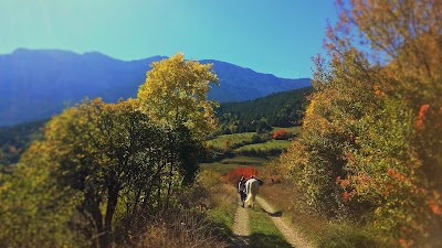 Photos of Cavalls Guiabosc Barid&agrave;, excursionses a caballo en Catalunya, Pirineo