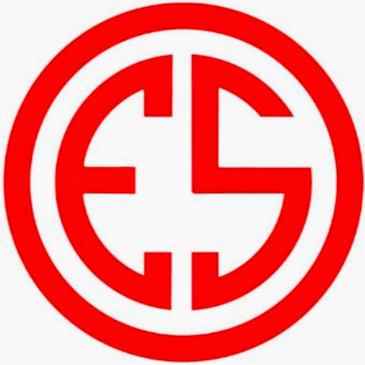 Elettronica Smart logo