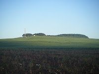 sugarcane fields and hills