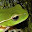 Camilo Ramirez's profile photo