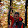 Marek Górecki Marek Górecki's profile photo