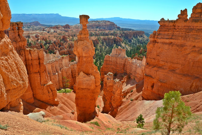 De Bryce Canyon a Las Vegas: Entre Hoodoos anda el juego. - COSTA OESTE USA 2012 (California, Nevada, Utah y Arizona). (13)