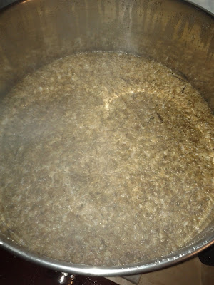 Hops in Hops in