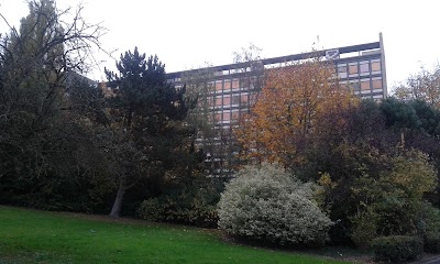 hospital
