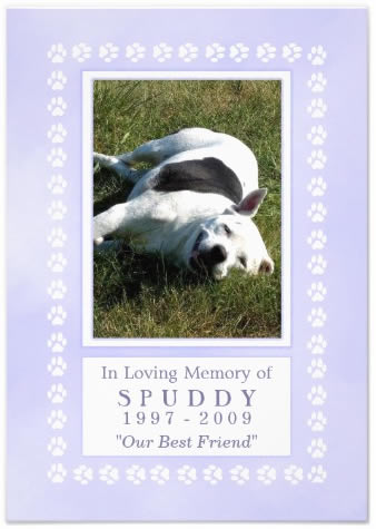 Heavenly Blue Pet Memorial Cards - See All Cards