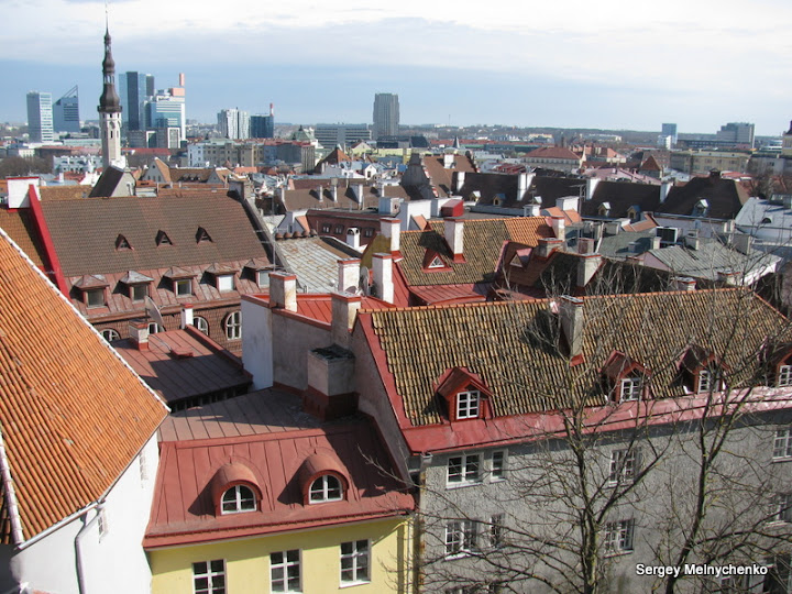 Четыре часа по улицам старого Таллина… (Фото)
