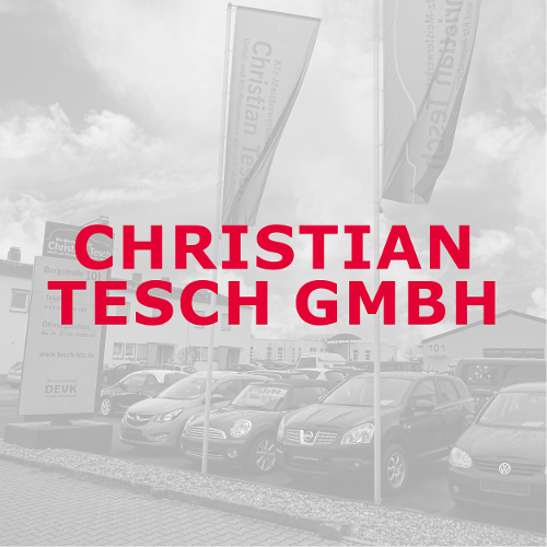 Kfz-Werkstatt Christian Tesch GmbH logo
