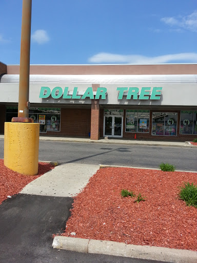 Dollar Store «Dollar Tree», reviews and photos, 32311 John R Rd, Madison Heights, MI 48071, USA