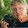 J K Welling J K Welling's profile photo