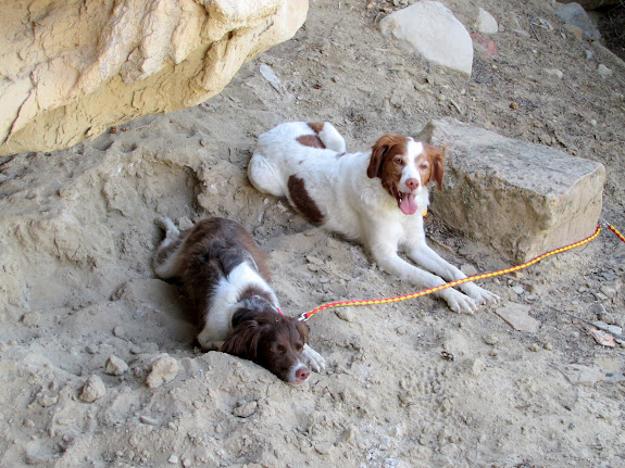 Boulder and Torrey resting at the first geocache