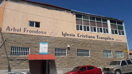 Iglesia Cristiana Evangelica Árbol Frondoso, Genaro Castillo 1750, Villas de Ntra. Sra. de la Asunción, 20126 Aguascalientes, Ags., México, Iglesia evangélica | AGS