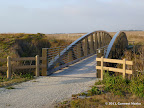 A bridge along the trail, taking us over a wide creek