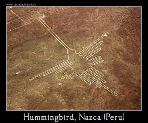 Hummingbird Nazca Line And Crop Circle Hummingbird
