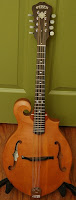 Webber Gallatin Acoustic Mandola